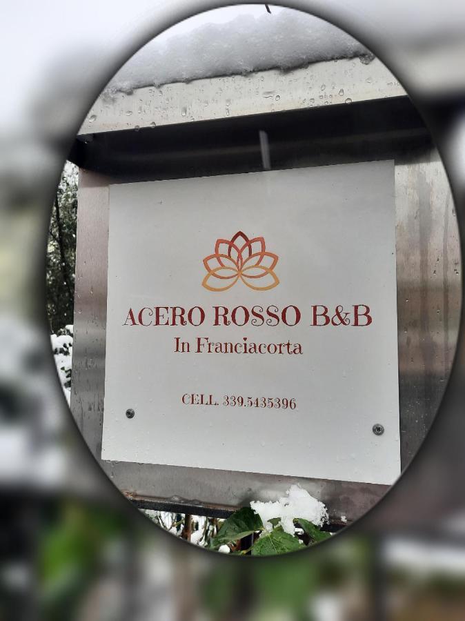 Acero Rosso B&B In Franciacorta 埃尔布斯科 外观 照片